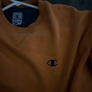 Champion sweater